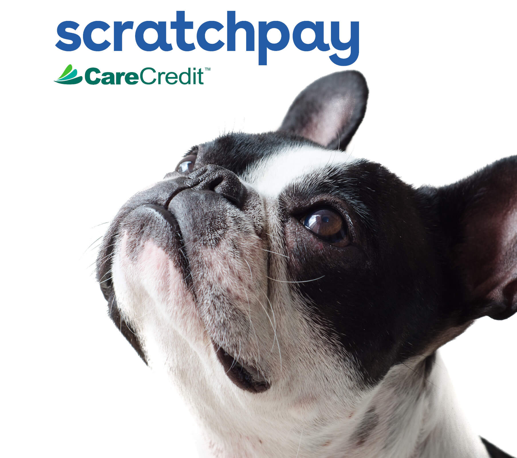 scratchpay and carecredit at peppertree